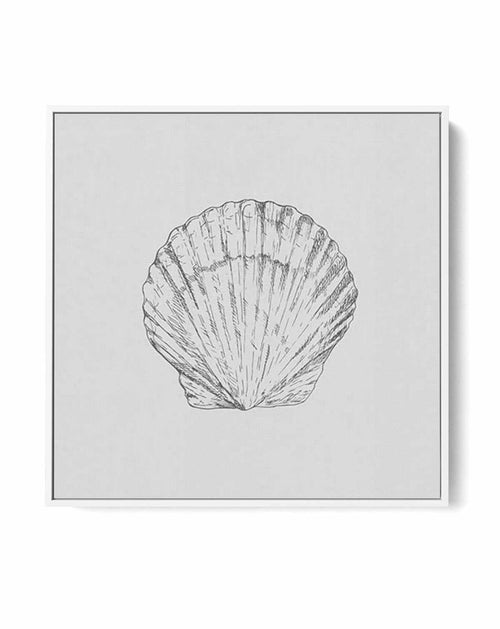 Seashell | Bay Scallop SQ | Framed Canvas-CANVAS-You can shop wall art online with Olive et Oriel for everything from abstract art to fun kids wall art. Our beautiful modern art prints and canvas art are available from large canvas prints to wall art paintings and our proudly Australian artwork collection offers only the highest quality framed large wall art and canvas art Australia - You can buy fashion photography prints or Hampton print posters and paintings on canvas from Olive et Oriel and 