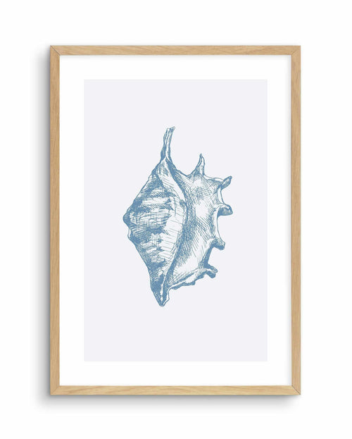 Seashell | Conch Art Print-PRINT-Olive et Oriel-Olive et Oriel-A5 | 5.8" x 8.3" | 14.8 x 21cm-Oak-With White Border-Buy-Australian-Art-Prints-Online-with-Olive-et-Oriel-Your-Artwork-Specialists-Austrailia-Decorate-With-Coastal-Photo-Wall-Art-Prints-From-Our-Beach-House-Artwork-Collection-Fine-Poster-and-Framed-Artwork
