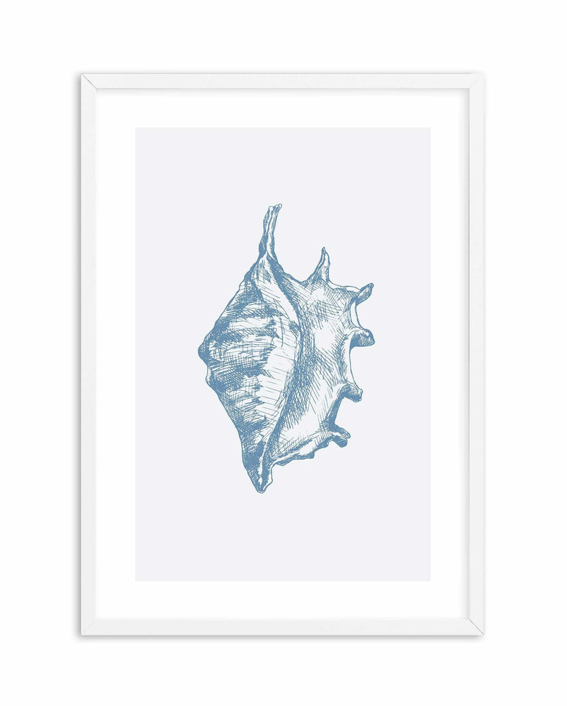 Seashell | Conch Art Print-PRINT-Olive et Oriel-Olive et Oriel-A5 | 5.8" x 8.3" | 14.8 x 21cm-White-With White Border-Buy-Australian-Art-Prints-Online-with-Olive-et-Oriel-Your-Artwork-Specialists-Austrailia-Decorate-With-Coastal-Photo-Wall-Art-Prints-From-Our-Beach-House-Artwork-Collection-Fine-Poster-and-Framed-Artwork