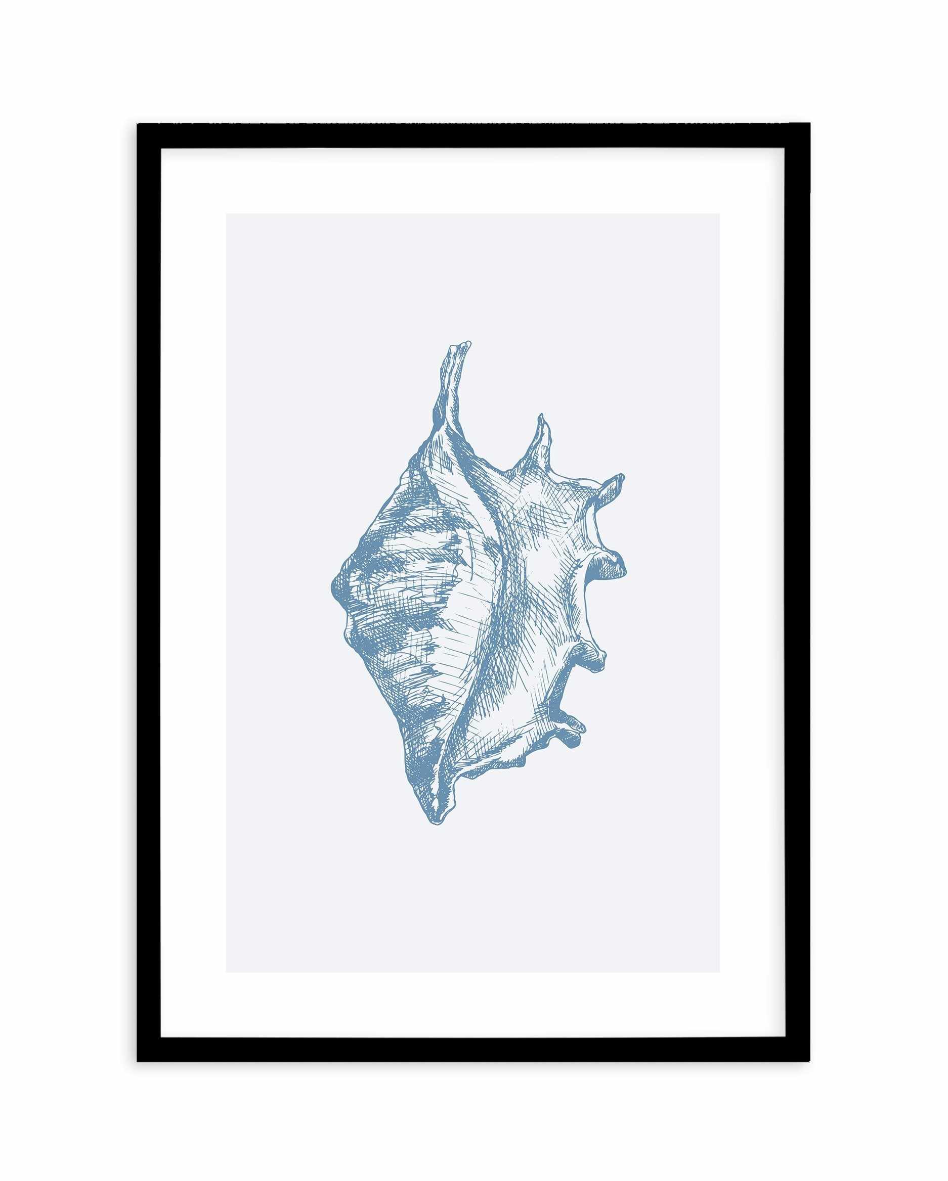 Seashell | Conch Art Print-PRINT-Olive et Oriel-Olive et Oriel-A5 | 5.8" x 8.3" | 14.8 x 21cm-Black-With White Border-Buy-Australian-Art-Prints-Online-with-Olive-et-Oriel-Your-Artwork-Specialists-Austrailia-Decorate-With-Coastal-Photo-Wall-Art-Prints-From-Our-Beach-House-Artwork-Collection-Fine-Poster-and-Framed-Artwork