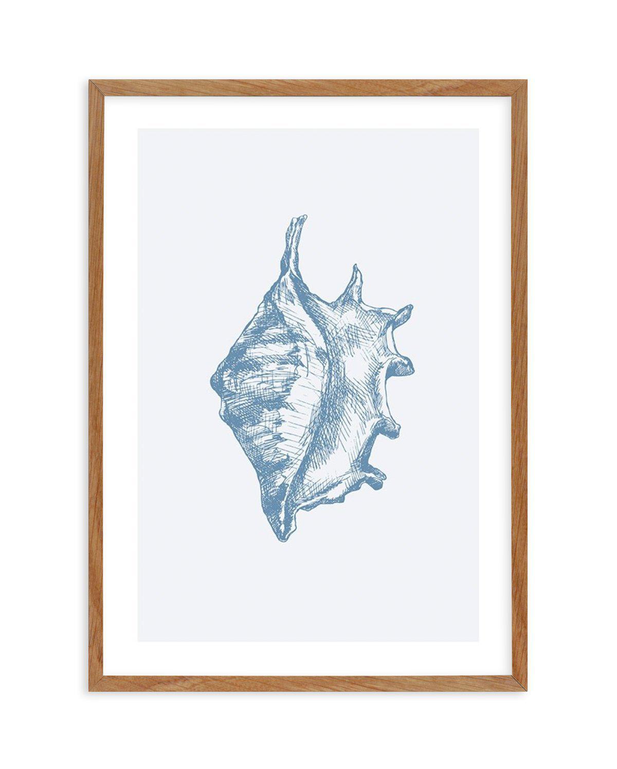 Seashell | Conch Art Print-PRINT-Olive et Oriel-Olive et Oriel-50x70 cm | 19.6" x 27.5"-Walnut-With White Border-Buy-Australian-Art-Prints-Online-with-Olive-et-Oriel-Your-Artwork-Specialists-Austrailia-Decorate-With-Coastal-Photo-Wall-Art-Prints-From-Our-Beach-House-Artwork-Collection-Fine-Poster-and-Framed-Artwork