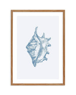 Seashell | Conch Art Print-PRINT-Olive et Oriel-Olive et Oriel-50x70 cm | 19.6" x 27.5"-Walnut-With White Border-Buy-Australian-Art-Prints-Online-with-Olive-et-Oriel-Your-Artwork-Specialists-Austrailia-Decorate-With-Coastal-Photo-Wall-Art-Prints-From-Our-Beach-House-Artwork-Collection-Fine-Poster-and-Framed-Artwork