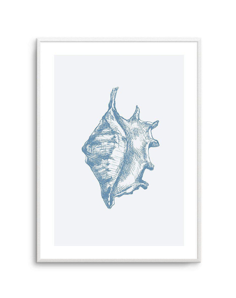 Seashell | Conch Art Print-PRINT-Olive et Oriel-Olive et Oriel-A5 | 5.8" x 8.3" | 14.8 x 21cm-Unframed Art Print-With White Border-Buy-Australian-Art-Prints-Online-with-Olive-et-Oriel-Your-Artwork-Specialists-Austrailia-Decorate-With-Coastal-Photo-Wall-Art-Prints-From-Our-Beach-House-Artwork-Collection-Fine-Poster-and-Framed-Artwork