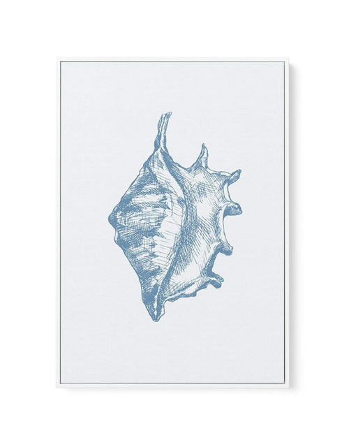 Seashell | Conch | Framed Canvas-CANVAS-You can shop wall art online with Olive et Oriel for everything from abstract art to fun kids wall art. Our beautiful modern art prints and canvas art are available from large canvas prints to wall art paintings and our proudly Australian artwork collection offers only the highest quality framed large wall art and canvas art Australia - You can buy fashion photography prints or Hampton print posters and paintings on canvas from Olive et Oriel and have them