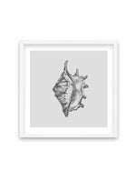 Seashell | Conch SQ Art Print-PRINT-Olive et Oriel-Olive et Oriel-70x70 cm | 27.5" x 27.5"-White-With White Border-Buy-Australian-Art-Prints-Online-with-Olive-et-Oriel-Your-Artwork-Specialists-Austrailia-Decorate-With-Coastal-Photo-Wall-Art-Prints-From-Our-Beach-House-Artwork-Collection-Fine-Poster-and-Framed-Artwork