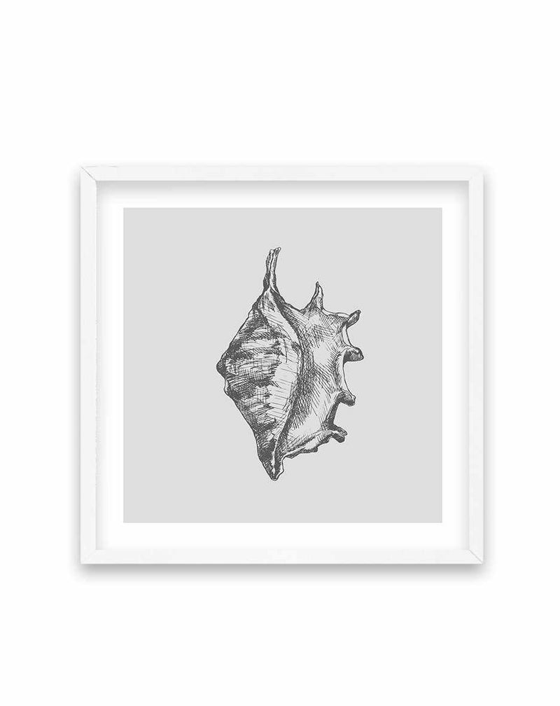 Seashell | Conch SQ Art Print-PRINT-Olive et Oriel-Olive et Oriel-70x70 cm | 27.5" x 27.5"-White-With White Border-Buy-Australian-Art-Prints-Online-with-Olive-et-Oriel-Your-Artwork-Specialists-Austrailia-Decorate-With-Coastal-Photo-Wall-Art-Prints-From-Our-Beach-House-Artwork-Collection-Fine-Poster-and-Framed-Artwork