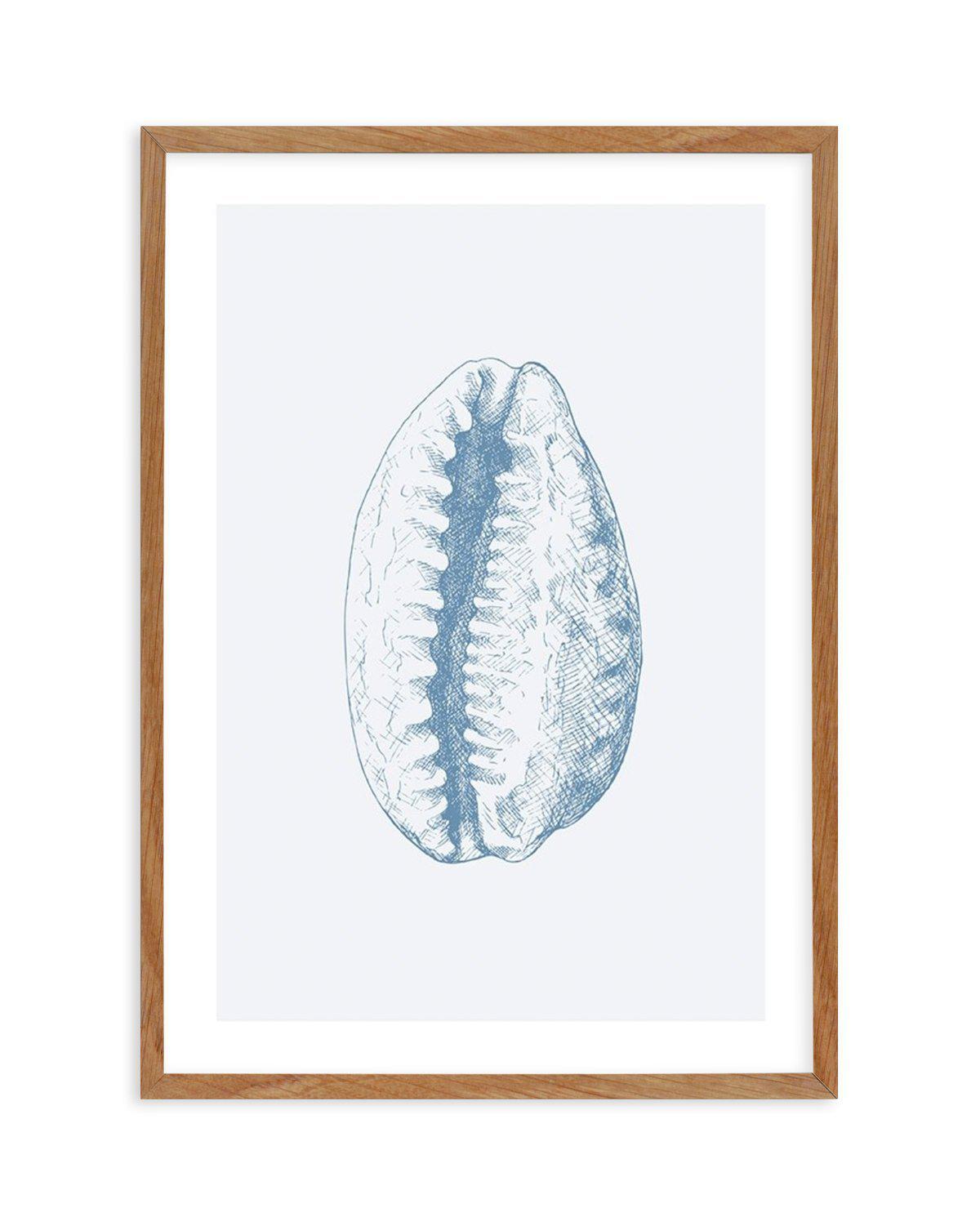 Seashell | Tiger Cowrie Art Print-PRINT-Olive et Oriel-Olive et Oriel-50x70 cm | 19.6" x 27.5"-Walnut-With White Border-Buy-Australian-Art-Prints-Online-with-Olive-et-Oriel-Your-Artwork-Specialists-Austrailia-Decorate-With-Coastal-Photo-Wall-Art-Prints-From-Our-Beach-House-Artwork-Collection-Fine-Poster-and-Framed-Artwork