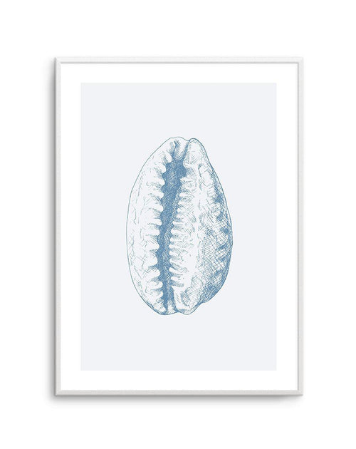 Seashell | Tiger Cowrie Art Print-PRINT-Olive et Oriel-Olive et Oriel-A5 | 5.8" x 8.3" | 14.8 x 21cm-Unframed Art Print-With White Border-Buy-Australian-Art-Prints-Online-with-Olive-et-Oriel-Your-Artwork-Specialists-Austrailia-Decorate-With-Coastal-Photo-Wall-Art-Prints-From-Our-Beach-House-Artwork-Collection-Fine-Poster-and-Framed-Artwork