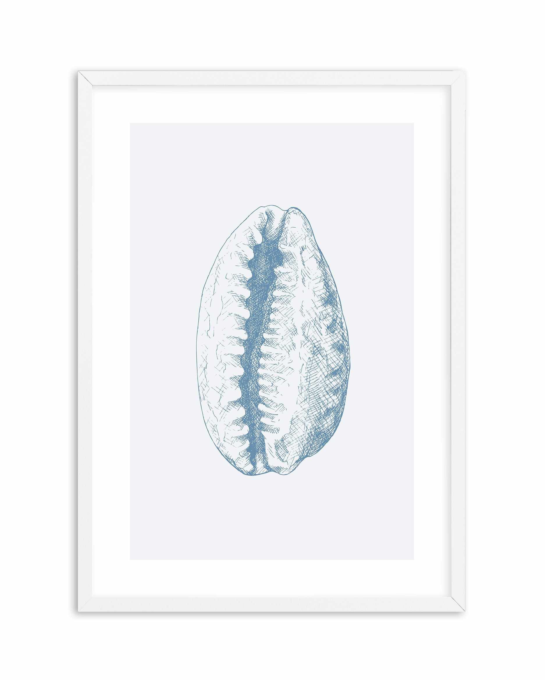 Seashell | Tiger Cowrie Art Print-PRINT-Olive et Oriel-Olive et Oriel-A5 | 5.8" x 8.3" | 14.8 x 21cm-White-With White Border-Buy-Australian-Art-Prints-Online-with-Olive-et-Oriel-Your-Artwork-Specialists-Austrailia-Decorate-With-Coastal-Photo-Wall-Art-Prints-From-Our-Beach-House-Artwork-Collection-Fine-Poster-and-Framed-Artwork