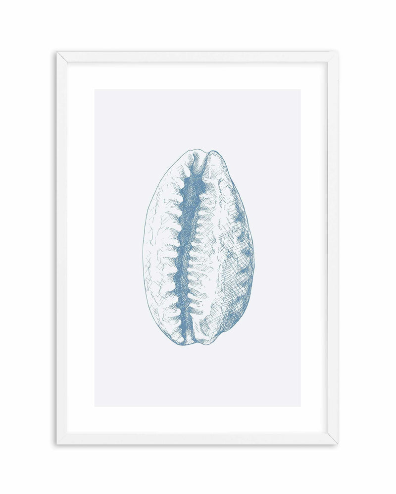 Seashell | Tiger Cowrie Art Print-PRINT-Olive et Oriel-Olive et Oriel-A5 | 5.8" x 8.3" | 14.8 x 21cm-White-With White Border-Buy-Australian-Art-Prints-Online-with-Olive-et-Oriel-Your-Artwork-Specialists-Austrailia-Decorate-With-Coastal-Photo-Wall-Art-Prints-From-Our-Beach-House-Artwork-Collection-Fine-Poster-and-Framed-Artwork
