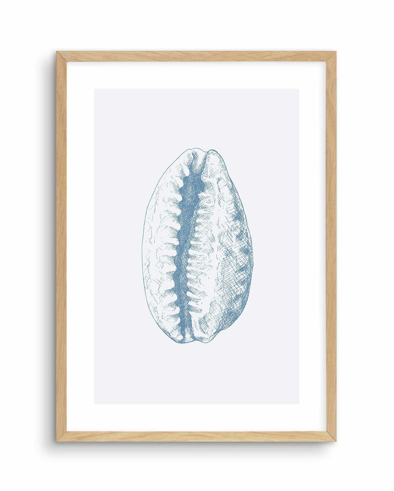Seashell | Tiger Cowrie Art Print-PRINT-Olive et Oriel-Olive et Oriel-A5 | 5.8" x 8.3" | 14.8 x 21cm-Oak-With White Border-Buy-Australian-Art-Prints-Online-with-Olive-et-Oriel-Your-Artwork-Specialists-Austrailia-Decorate-With-Coastal-Photo-Wall-Art-Prints-From-Our-Beach-House-Artwork-Collection-Fine-Poster-and-Framed-Artwork