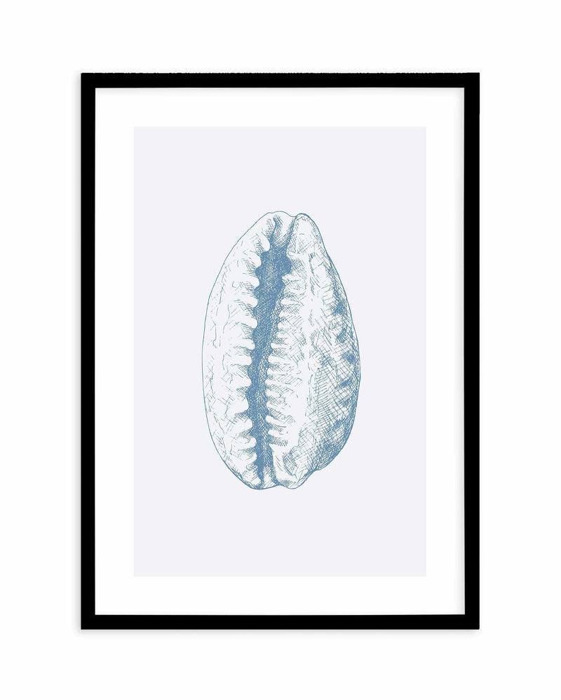 Seashell | Tiger Cowrie Art Print-PRINT-Olive et Oriel-Olive et Oriel-A5 | 5.8" x 8.3" | 14.8 x 21cm-Black-With White Border-Buy-Australian-Art-Prints-Online-with-Olive-et-Oriel-Your-Artwork-Specialists-Austrailia-Decorate-With-Coastal-Photo-Wall-Art-Prints-From-Our-Beach-House-Artwork-Collection-Fine-Poster-and-Framed-Artwork