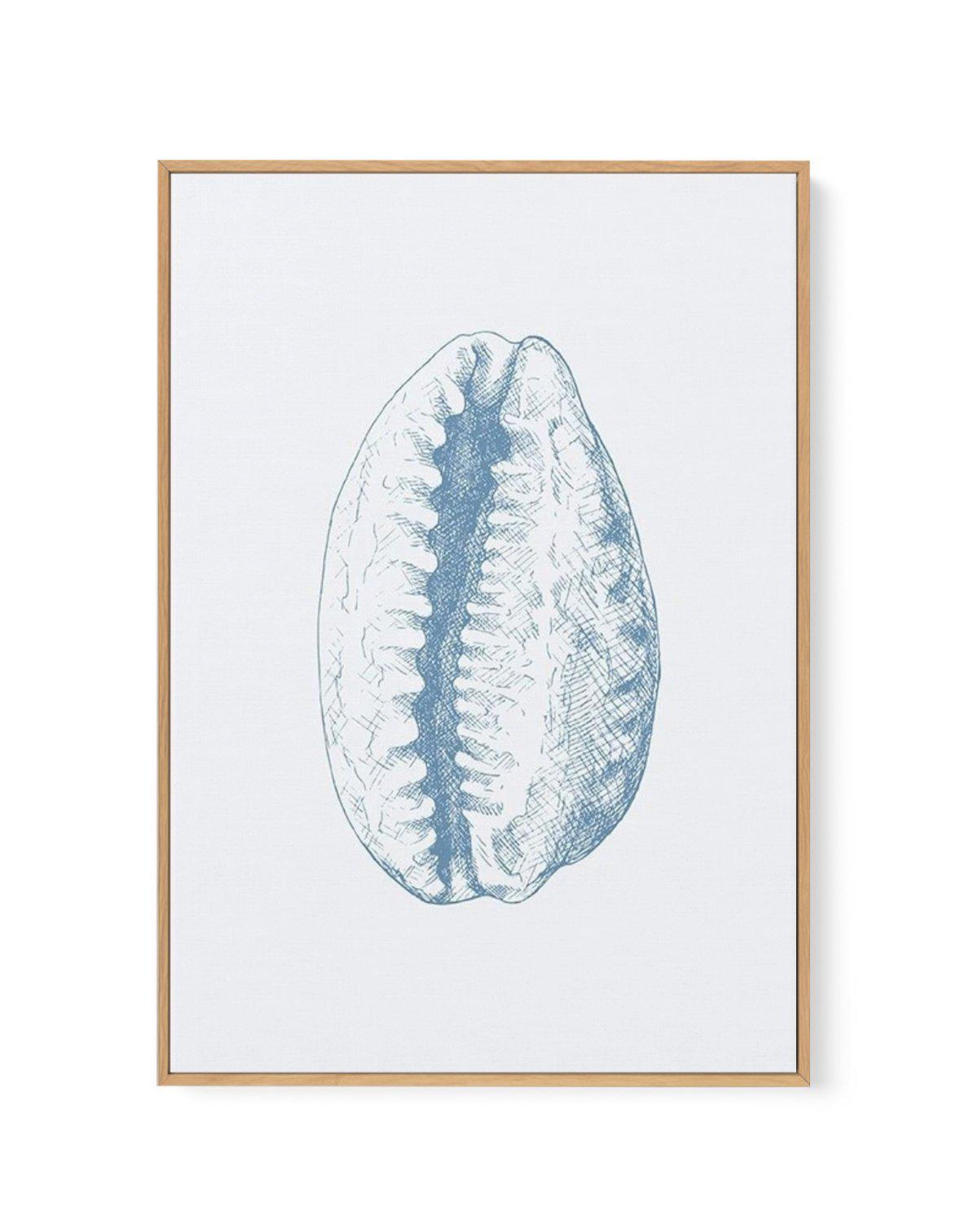 Seashell | Tiger Cowrie | Framed Canvas-CANVAS-You can shop wall art online with Olive et Oriel for everything from abstract art to fun kids wall art. Our beautiful modern art prints and canvas art are available from large canvas prints to wall art paintings and our proudly Australian artwork collection offers only the highest quality framed large wall art and canvas art Australia - You can buy fashion photography prints or Hampton print posters and paintings on canvas from Olive et Oriel and ha