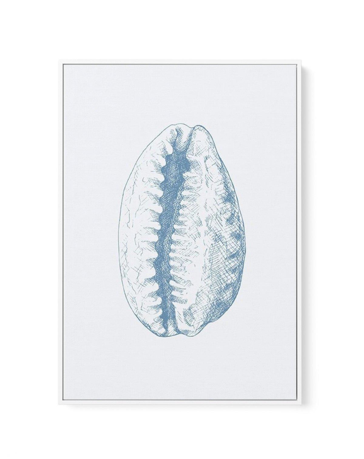 Seashell | Tiger Cowrie | Framed Canvas-CANVAS-You can shop wall art online with Olive et Oriel for everything from abstract art to fun kids wall art. Our beautiful modern art prints and canvas art are available from large canvas prints to wall art paintings and our proudly Australian artwork collection offers only the highest quality framed large wall art and canvas art Australia - You can buy fashion photography prints or Hampton print posters and paintings on canvas from Olive et Oriel and ha