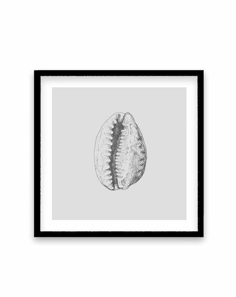 Seashell | Tiger Cowrie SQ Art Print-PRINT-Olive et Oriel-Olive et Oriel-70x70 cm | 27.5" x 27.5"-Black-With White Border-Buy-Australian-Art-Prints-Online-with-Olive-et-Oriel-Your-Artwork-Specialists-Austrailia-Decorate-With-Coastal-Photo-Wall-Art-Prints-From-Our-Beach-House-Artwork-Collection-Fine-Poster-and-Framed-Artwork