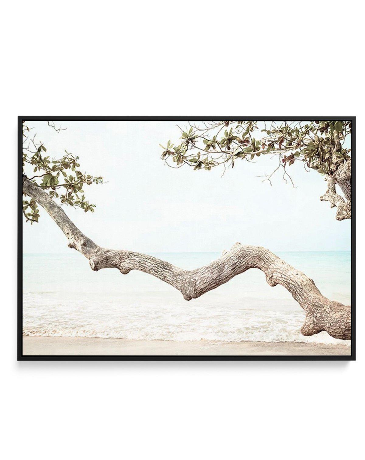 Seaside Bliss II | Framed Canvas-CANVAS-You can shop wall art online with Olive et Oriel for everything from abstract art to fun kids wall art. Our beautiful modern art prints and canvas art are available from large canvas prints to wall art paintings and our proudly Australian artwork collection offers only the highest quality framed large wall art and canvas art Australia - You can buy fashion photography prints or Hampton print posters and paintings on canvas from Olive et Oriel and have them