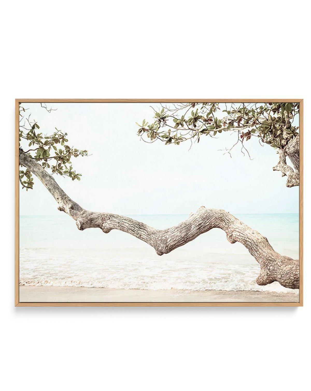 Seaside Bliss II | Framed Canvas-CANVAS-You can shop wall art online with Olive et Oriel for everything from abstract art to fun kids wall art. Our beautiful modern art prints and canvas art are available from large canvas prints to wall art paintings and our proudly Australian artwork collection offers only the highest quality framed large wall art and canvas art Australia - You can buy fashion photography prints or Hampton print posters and paintings on canvas from Olive et Oriel and have them