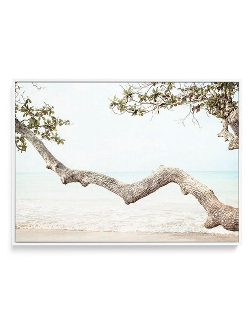 Seaside Bliss II | Framed Canvas-CANVAS-You can shop wall art online with Olive et Oriel for everything from abstract art to fun kids wall art. Our beautiful modern art prints and canvas art are available from large canvas prints to wall art paintings and our proudly Australian artwork collection offers only the highest quality framed large wall art and canvas art Australia - You can buy fashion photography prints or Hampton print posters and paintings on canvas from Olive et Oriel and have them