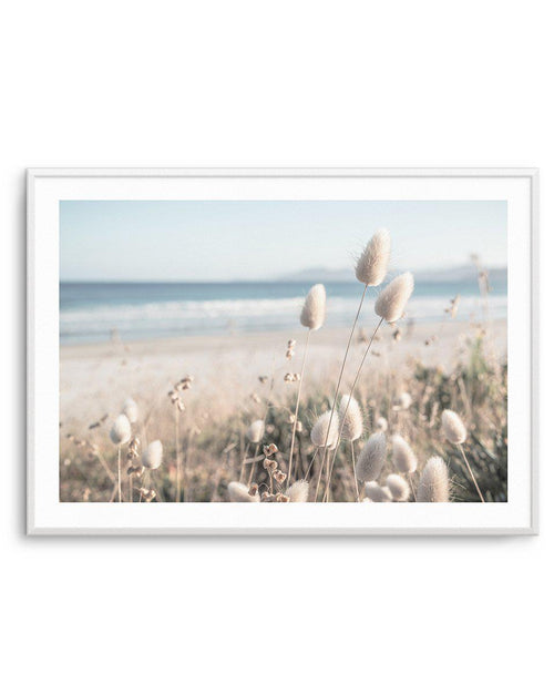 Seaside Grass Art Print-PRINT-Olive et Oriel-Olive et Oriel-A5 | 5.8" x 8.3" | 14.8 x 21cm-Unframed Art Print-With White Border-Buy-Australian-Art-Prints-Online-with-Olive-et-Oriel-Your-Artwork-Specialists-Austrailia-Decorate-With-Coastal-Photo-Wall-Art-Prints-From-Our-Beach-House-Artwork-Collection-Fine-Poster-and-Framed-Artwork