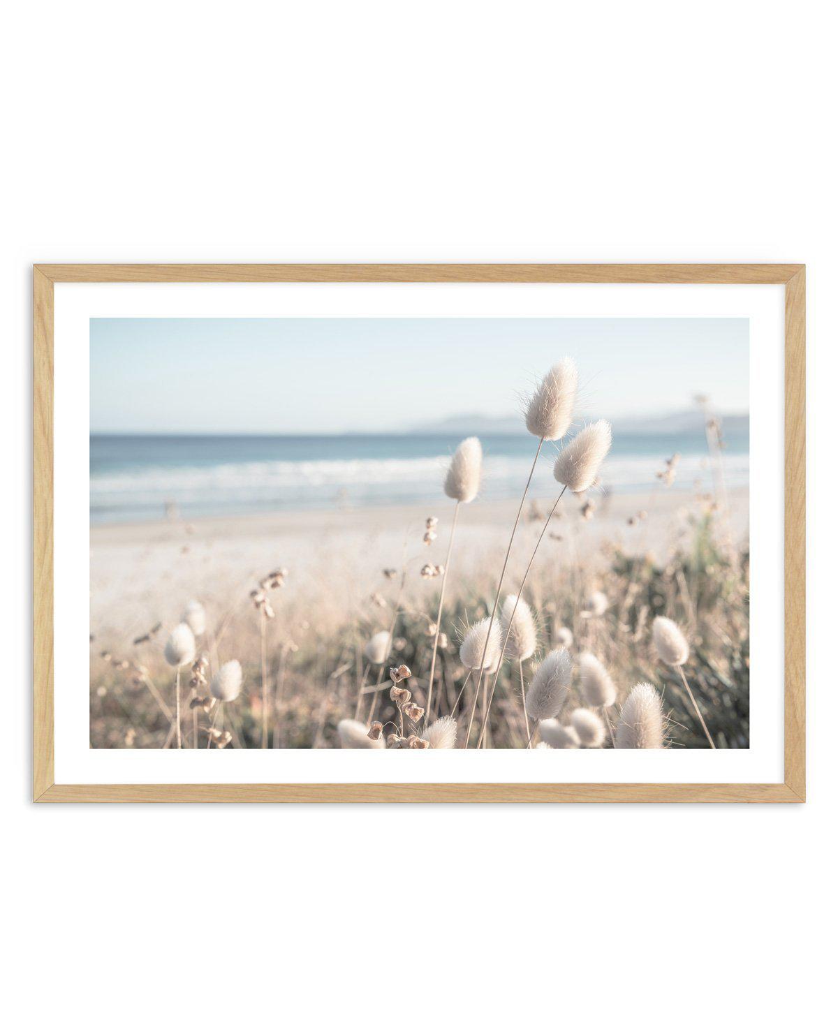 Seaside Grass Art Print-PRINT-Olive et Oriel-Olive et Oriel-Buy-Australian-Art-Prints-Online-with-Olive-et-Oriel-Your-Artwork-Specialists-Austrailia-Decorate-With-Coastal-Photo-Wall-Art-Prints-From-Our-Beach-House-Artwork-Collection-Fine-Poster-and-Framed-Artwork