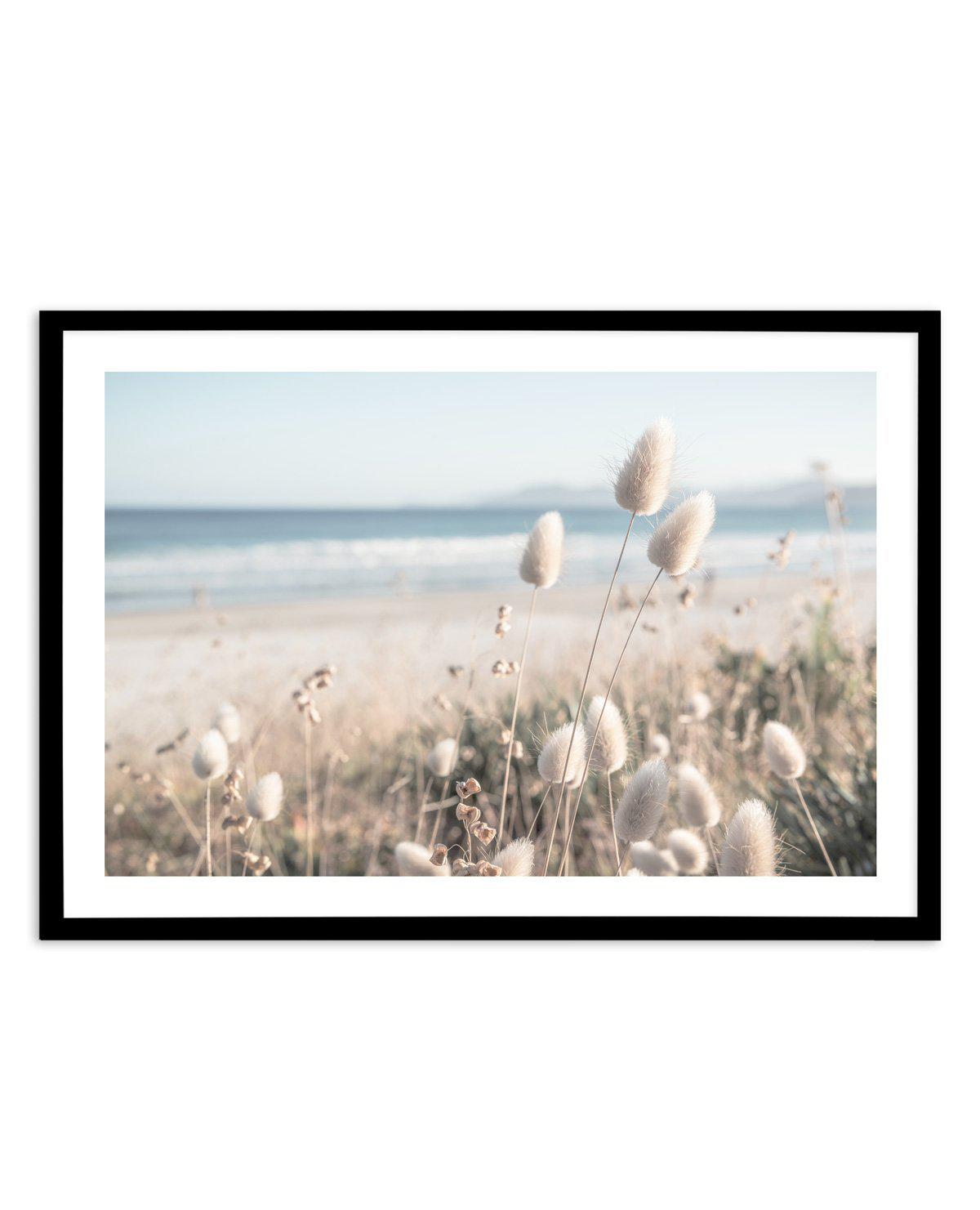 Seaside Grass Art Print-PRINT-Olive et Oriel-Olive et Oriel-Buy-Australian-Art-Prints-Online-with-Olive-et-Oriel-Your-Artwork-Specialists-Austrailia-Decorate-With-Coastal-Photo-Wall-Art-Prints-From-Our-Beach-House-Artwork-Collection-Fine-Poster-and-Framed-Artwork