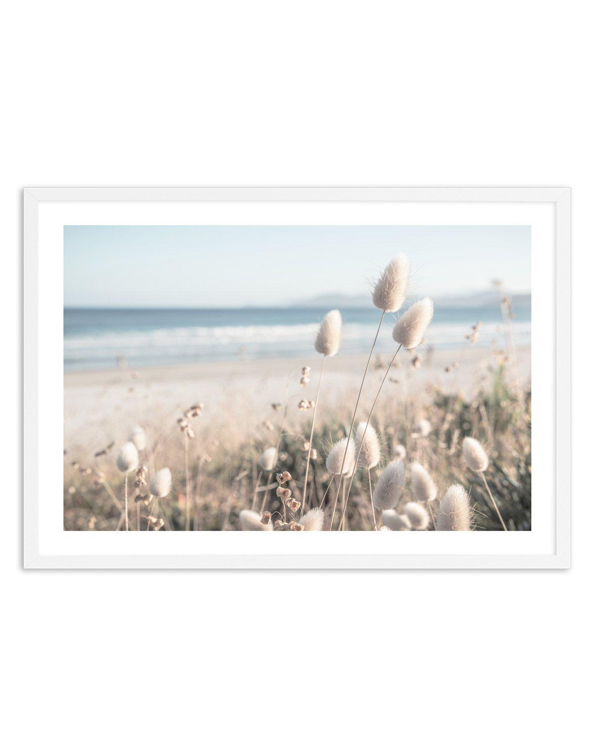 Seaside Grass Art Print-PRINT-Olive et Oriel-Olive et Oriel-Buy-Australian-Art-Prints-Online-with-Olive-et-Oriel-Your-Artwork-Specialists-Austrailia-Decorate-With-Coastal-Photo-Wall-Art-Prints-From-Our-Beach-House-Artwork-Collection-Fine-Poster-and-Framed-Artwork