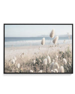 Seaside Grass | Framed Canvas-CANVAS-You can shop wall art online with Olive et Oriel for everything from abstract art to fun kids wall art. Our beautiful modern art prints and canvas art are available from large canvas prints to wall art paintings and our proudly Australian artwork collection offers only the highest quality framed large wall art and canvas art Australia - You can buy fashion photography prints or Hampton print posters and paintings on canvas from Olive et Oriel and have them de