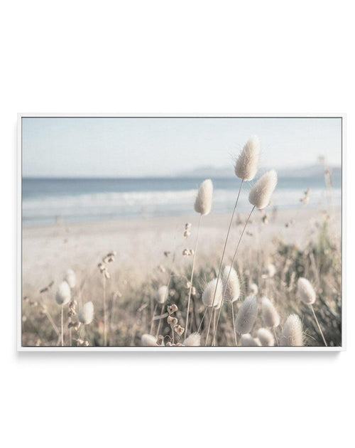 Seaside Grass | Framed Canvas-CANVAS-You can shop wall art online with Olive et Oriel for everything from abstract art to fun kids wall art. Our beautiful modern art prints and canvas art are available from large canvas prints to wall art paintings and our proudly Australian artwork collection offers only the highest quality framed large wall art and canvas art Australia - You can buy fashion photography prints or Hampton print posters and paintings on canvas from Olive et Oriel and have them de