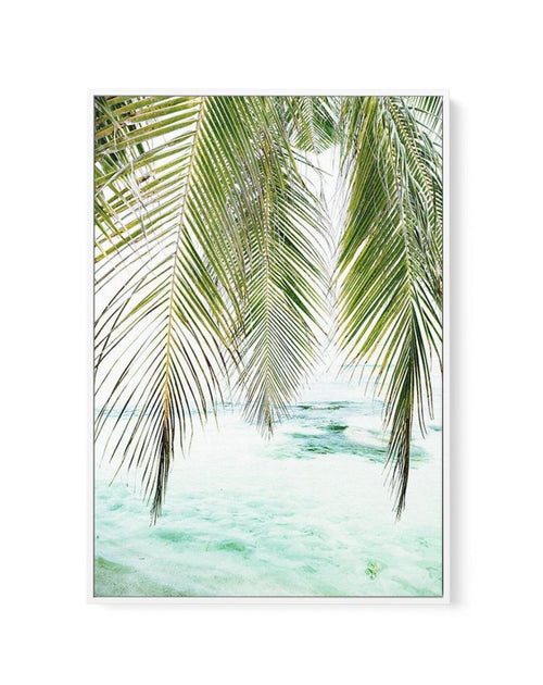 Seaside Palm | Framed Canvas-CANVAS-You can shop wall art online with Olive et Oriel for everything from abstract art to fun kids wall art. Our beautiful modern art prints and canvas art are available from large canvas prints to wall art paintings and our proudly Australian artwork collection offers only the highest quality framed large wall art and canvas art Australia - You can buy fashion photography prints or Hampton print posters and paintings on canvas from Olive et Oriel and have them del