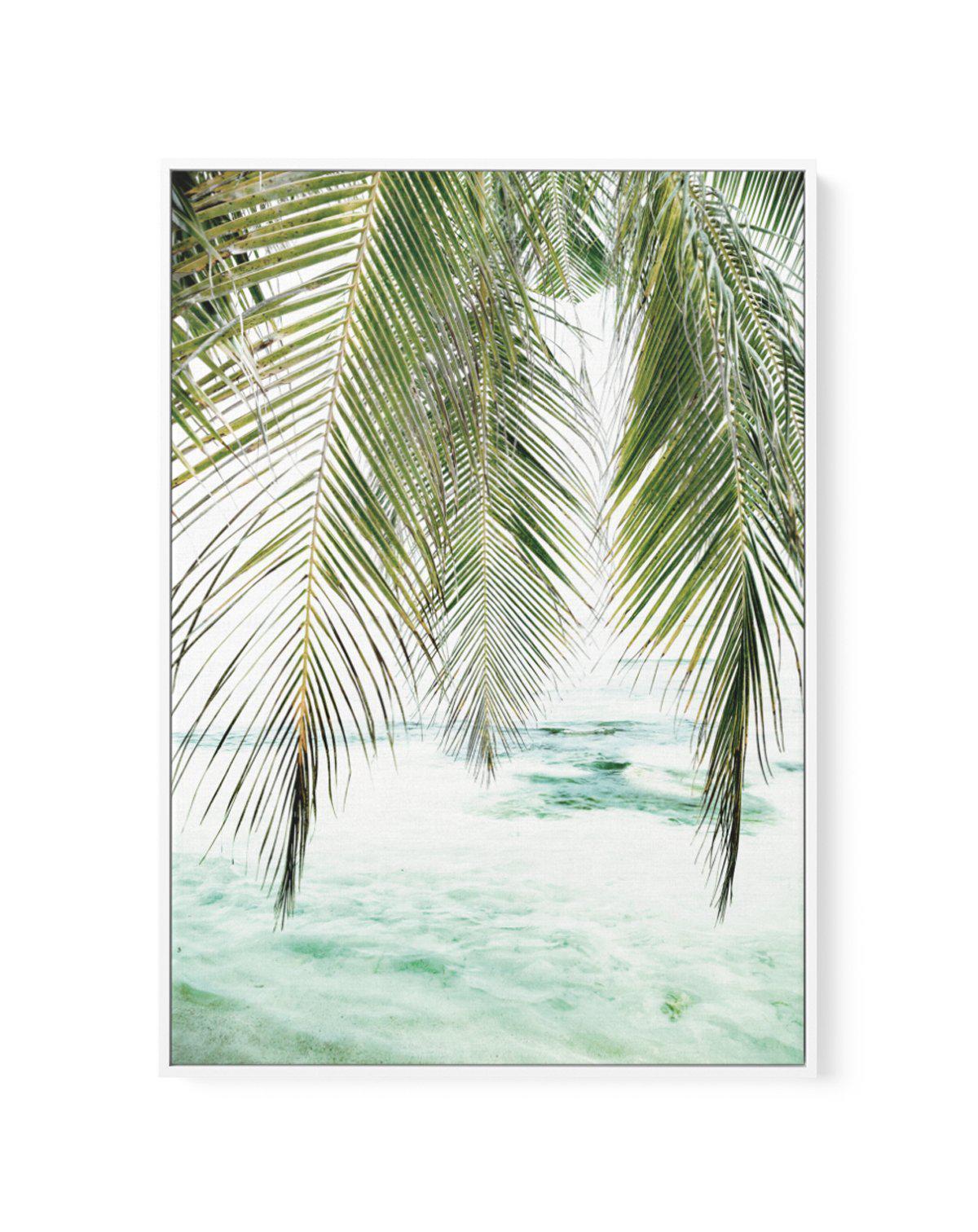 Seaside Palm | Framed Canvas-CANVAS-You can shop wall art online with Olive et Oriel for everything from abstract art to fun kids wall art. Our beautiful modern art prints and canvas art are available from large canvas prints to wall art paintings and our proudly Australian artwork collection offers only the highest quality framed large wall art and canvas art Australia - You can buy fashion photography prints or Hampton print posters and paintings on canvas from Olive et Oriel and have them del