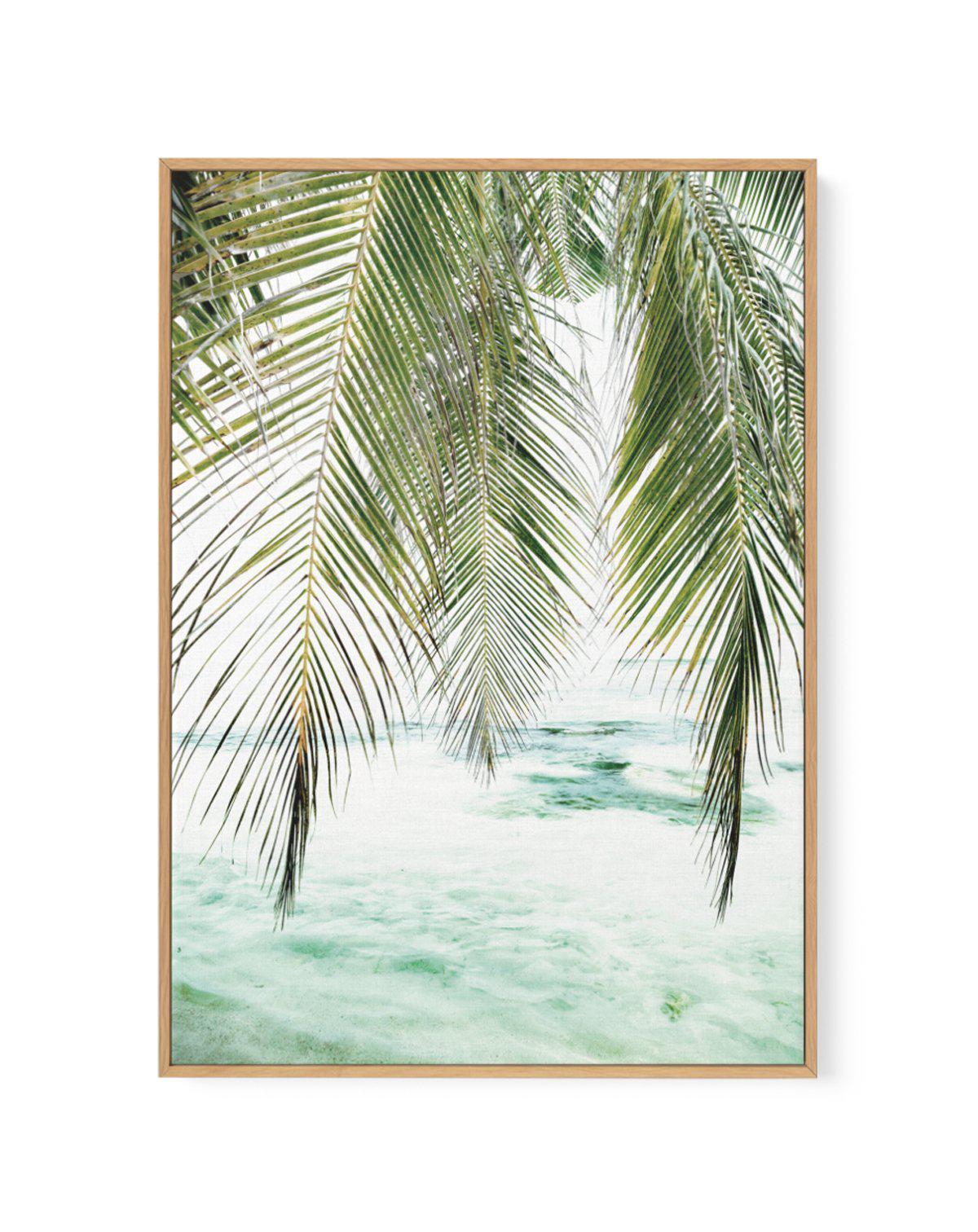 Seaside Palm | Framed Canvas-CANVAS-You can shop wall art online with Olive et Oriel for everything from abstract art to fun kids wall art. Our beautiful modern art prints and canvas art are available from large canvas prints to wall art paintings and our proudly Australian artwork collection offers only the highest quality framed large wall art and canvas art Australia - You can buy fashion photography prints or Hampton print posters and paintings on canvas from Olive et Oriel and have them del