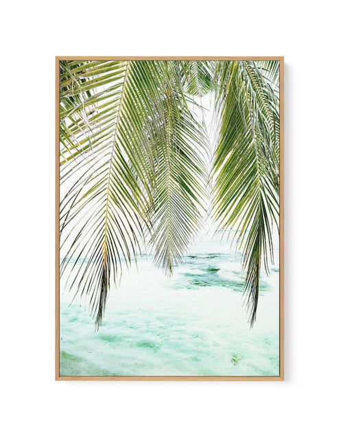 Seaside Palm | Framed Canvas-CANVAS-You can shop wall art online with Olive et Oriel for everything from abstract art to fun kids wall art. Our beautiful modern art prints and canvas art are available from large canvas prints to wall art paintings and our proudly Australian artwork collection offers only the highest quality framed large wall art and canvas art Australia - You can buy fashion photography prints or Hampton print posters and paintings on canvas from Olive et Oriel and have them del