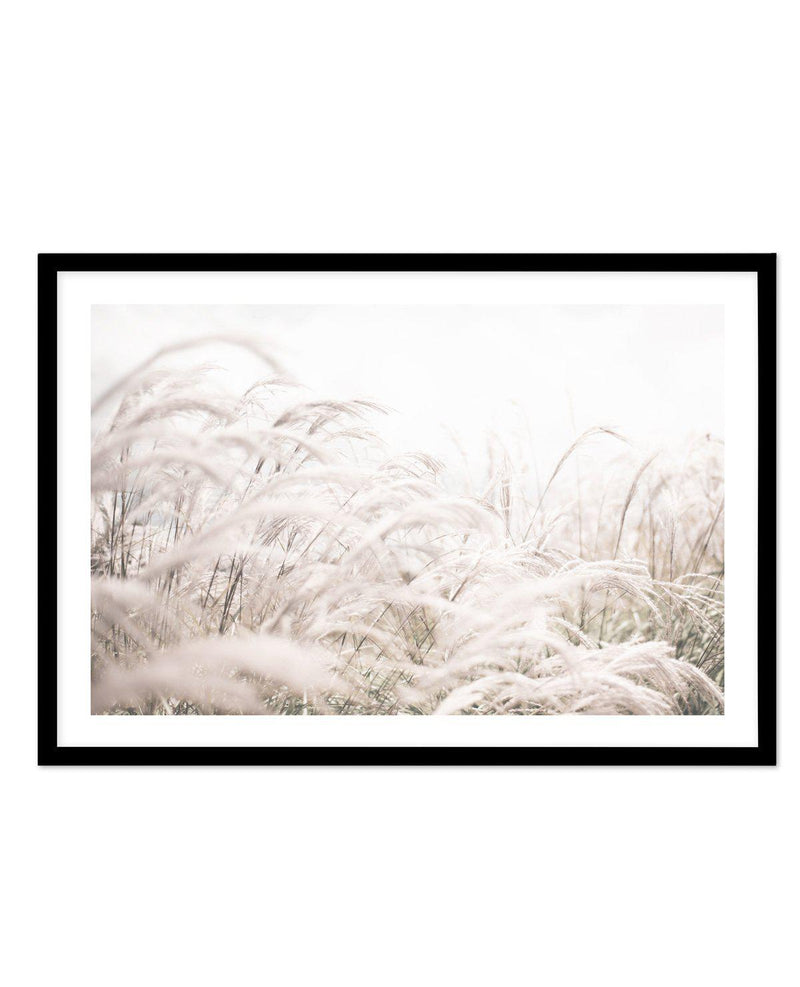 Seaside Pampas | LS Art Print-PRINT-Olive et Oriel-Olive et Oriel-A4 | 8.3" x 11.7" | 21 x 29.7cm-Black-With White Border-Buy-Australian-Art-Prints-Online-with-Olive-et-Oriel-Your-Artwork-Specialists-Austrailia-Decorate-With-Coastal-Photo-Wall-Art-Prints-From-Our-Beach-House-Artwork-Collection-Fine-Poster-and-Framed-Artwork