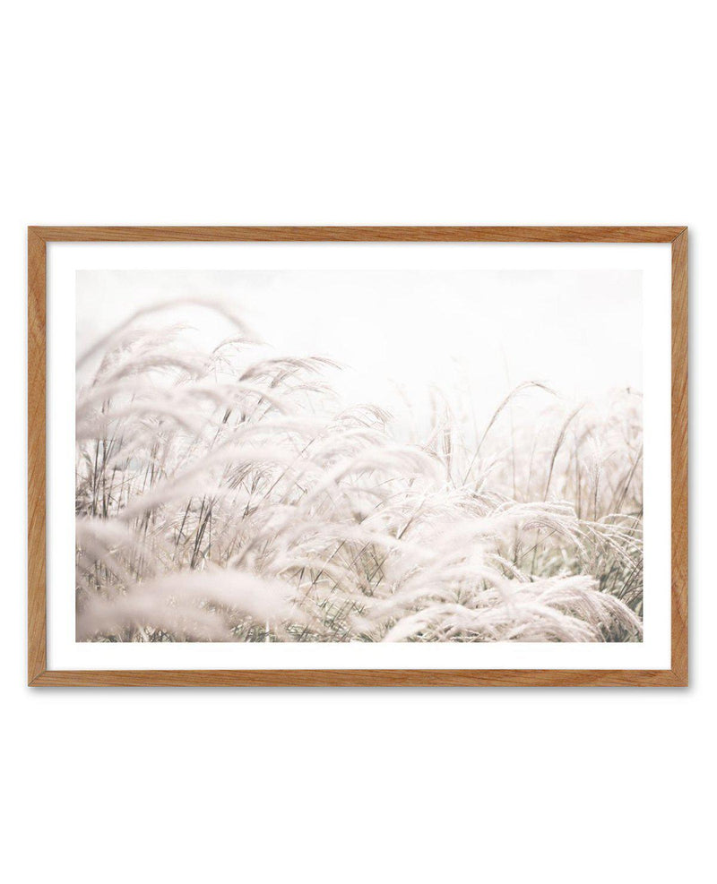 Seaside Pampas | LS Art Print-PRINT-Olive et Oriel-Olive et Oriel-50x70 cm | 19.6" x 27.5"-Walnut-With White Border-Buy-Australian-Art-Prints-Online-with-Olive-et-Oriel-Your-Artwork-Specialists-Austrailia-Decorate-With-Coastal-Photo-Wall-Art-Prints-From-Our-Beach-House-Artwork-Collection-Fine-Poster-and-Framed-Artwork