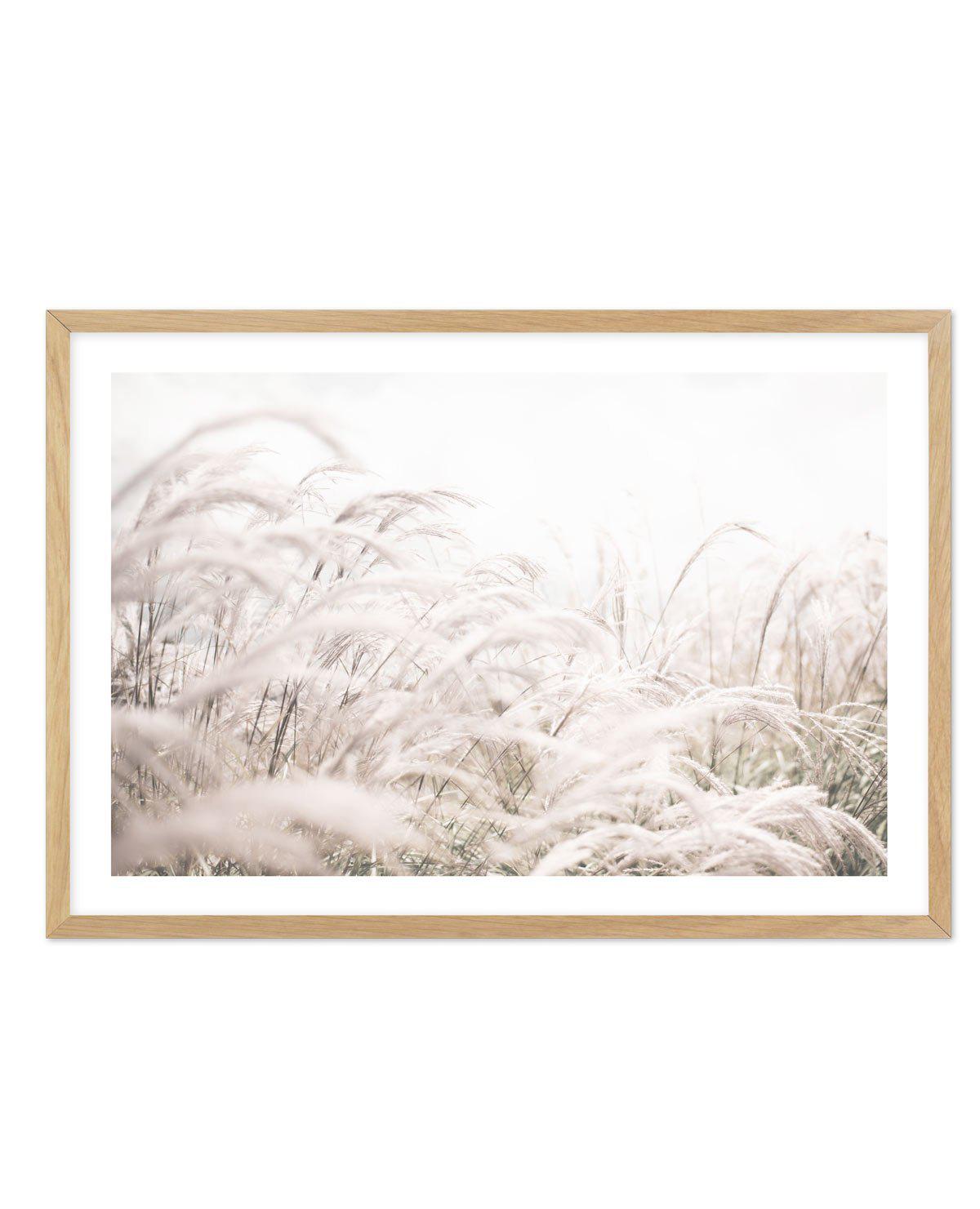 Seaside Pampas | LS Art Print-PRINT-Olive et Oriel-Olive et Oriel-A4 | 8.3" x 11.7" | 21 x 29.7cm-Oak-With White Border-Buy-Australian-Art-Prints-Online-with-Olive-et-Oriel-Your-Artwork-Specialists-Austrailia-Decorate-With-Coastal-Photo-Wall-Art-Prints-From-Our-Beach-House-Artwork-Collection-Fine-Poster-and-Framed-Artwork