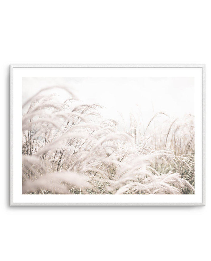 Seaside Pampas | LS Art Print-PRINT-Olive et Oriel-Olive et Oriel-A4 | 8.3" x 11.7" | 21 x 29.7cm-Unframed Art Print-With White Border-Buy-Australian-Art-Prints-Online-with-Olive-et-Oriel-Your-Artwork-Specialists-Austrailia-Decorate-With-Coastal-Photo-Wall-Art-Prints-From-Our-Beach-House-Artwork-Collection-Fine-Poster-and-Framed-Artwork