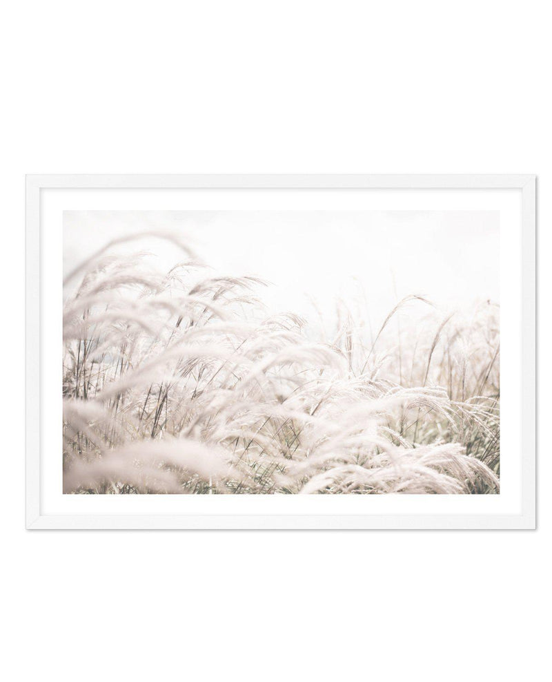 Seaside Pampas | LS Art Print-PRINT-Olive et Oriel-Olive et Oriel-A4 | 8.3" x 11.7" | 21 x 29.7cm-White-With White Border-Buy-Australian-Art-Prints-Online-with-Olive-et-Oriel-Your-Artwork-Specialists-Austrailia-Decorate-With-Coastal-Photo-Wall-Art-Prints-From-Our-Beach-House-Artwork-Collection-Fine-Poster-and-Framed-Artwork