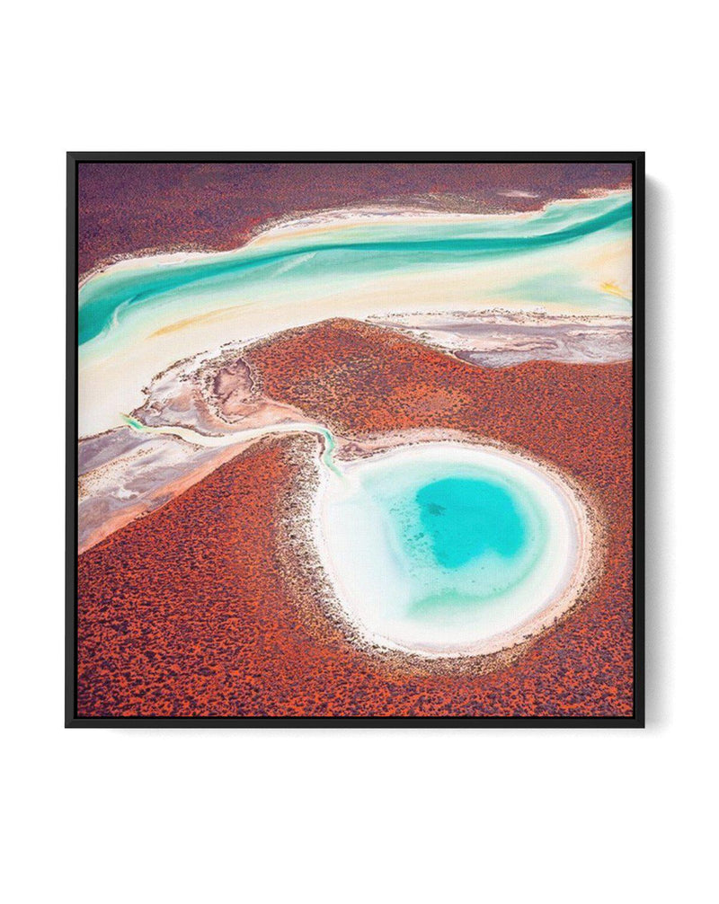 Shark Bay, WA SQ | Framed Canvas-CANVAS-You can shop wall art online with Olive et Oriel for everything from abstract art to fun kids wall art. Our beautiful modern art prints and canvas art are available from large canvas prints to wall art paintings and our proudly Australian artwork collection offers only the highest quality framed large wall art and canvas art Australia - You can buy fashion photography prints or Hampton print posters and paintings on canvas from Olive et Oriel and have them