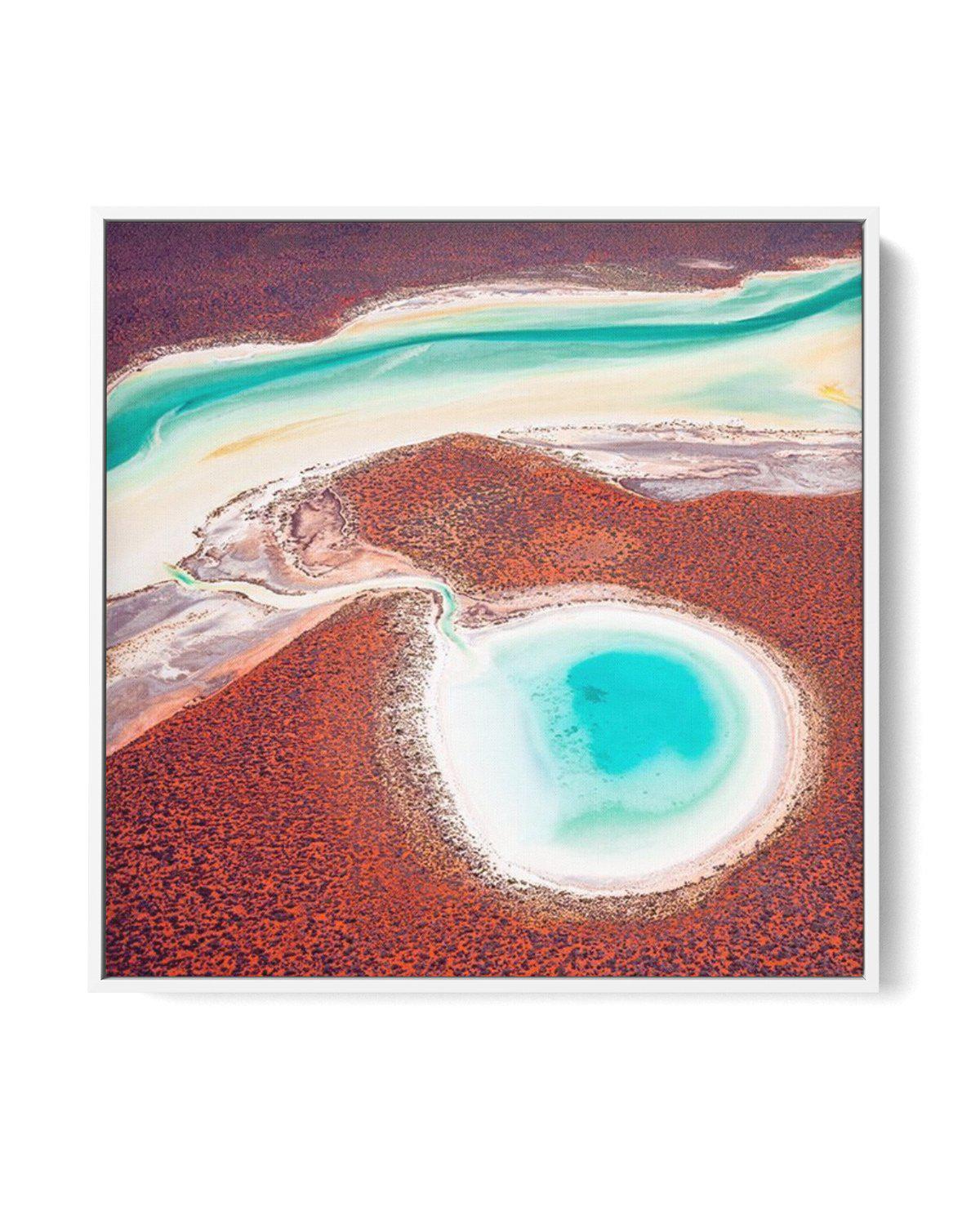 Shark Bay, WA SQ | Framed Canvas-CANVAS-You can shop wall art online with Olive et Oriel for everything from abstract art to fun kids wall art. Our beautiful modern art prints and canvas art are available from large canvas prints to wall art paintings and our proudly Australian artwork collection offers only the highest quality framed large wall art and canvas art Australia - You can buy fashion photography prints or Hampton print posters and paintings on canvas from Olive et Oriel and have them