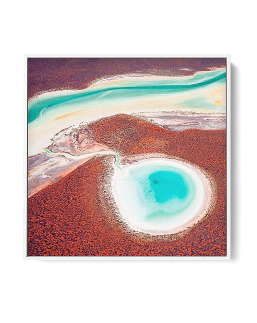 Shark Bay, WA SQ | Framed Canvas-CANVAS-You can shop wall art online with Olive et Oriel for everything from abstract art to fun kids wall art. Our beautiful modern art prints and canvas art are available from large canvas prints to wall art paintings and our proudly Australian artwork collection offers only the highest quality framed large wall art and canvas art Australia - You can buy fashion photography prints or Hampton print posters and paintings on canvas from Olive et Oriel and have them