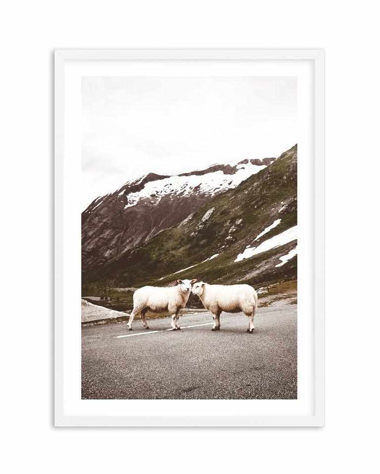 Sheep On The Road Art Print-PRINT-Olive et Oriel-Olive et Oriel-A5 | 5.8" x 8.3" | 14.8 x 21cm-White-With White Border-Buy-Australian-Art-Prints-Online-with-Olive-et-Oriel-Your-Artwork-Specialists-Austrailia-Decorate-With-Coastal-Photo-Wall-Art-Prints-From-Our-Beach-House-Artwork-Collection-Fine-Poster-and-Framed-Artwork