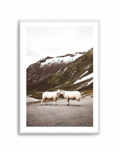 Sheep On The Road Art Print-PRINT-Olive et Oriel-Olive et Oriel-A5 | 5.8" x 8.3" | 14.8 x 21cm-Unframed Art Print-With White Border-Buy-Australian-Art-Prints-Online-with-Olive-et-Oriel-Your-Artwork-Specialists-Austrailia-Decorate-With-Coastal-Photo-Wall-Art-Prints-From-Our-Beach-House-Artwork-Collection-Fine-Poster-and-Framed-Artwork