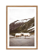 Sheep On The Road Art Print-PRINT-Olive et Oriel-Olive et Oriel-Buy-Australian-Art-Prints-Online-with-Olive-et-Oriel-Your-Artwork-Specialists-Austrailia-Decorate-With-Coastal-Photo-Wall-Art-Prints-From-Our-Beach-House-Artwork-Collection-Fine-Poster-and-Framed-Artwork