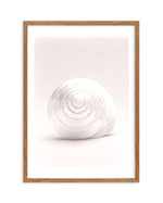 Shell I Art Print-PRINT-Olive et Oriel-Olive et Oriel-50x70 cm | 19.6" x 27.5"-Walnut-With White Border-Buy-Australian-Art-Prints-Online-with-Olive-et-Oriel-Your-Artwork-Specialists-Austrailia-Decorate-With-Coastal-Photo-Wall-Art-Prints-From-Our-Beach-House-Artwork-Collection-Fine-Poster-and-Framed-Artwork