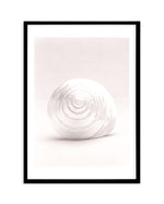 Shell I Art Print-PRINT-Olive et Oriel-Olive et Oriel-A5 | 5.8" x 8.3" | 14.8 x 21cm-Black-With White Border-Buy-Australian-Art-Prints-Online-with-Olive-et-Oriel-Your-Artwork-Specialists-Austrailia-Decorate-With-Coastal-Photo-Wall-Art-Prints-From-Our-Beach-House-Artwork-Collection-Fine-Poster-and-Framed-Artwork