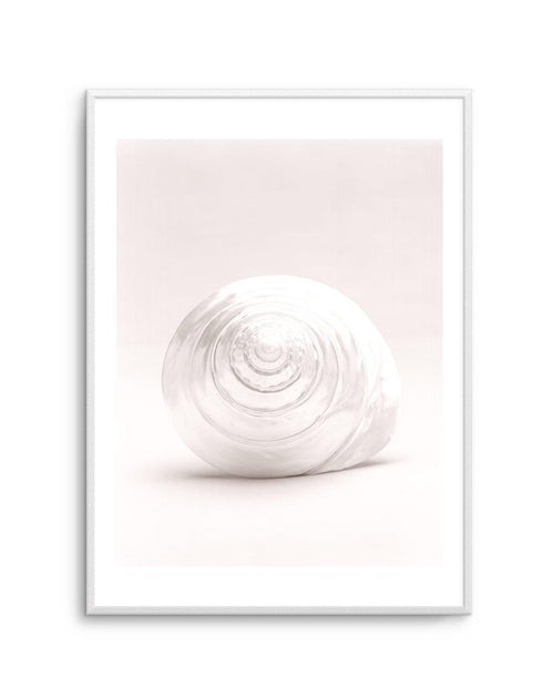 Shell I Art Print-PRINT-Olive et Oriel-Olive et Oriel-A5 | 5.8" x 8.3" | 14.8 x 21cm-Unframed Art Print-With White Border-Buy-Australian-Art-Prints-Online-with-Olive-et-Oriel-Your-Artwork-Specialists-Austrailia-Decorate-With-Coastal-Photo-Wall-Art-Prints-From-Our-Beach-House-Artwork-Collection-Fine-Poster-and-Framed-Artwork