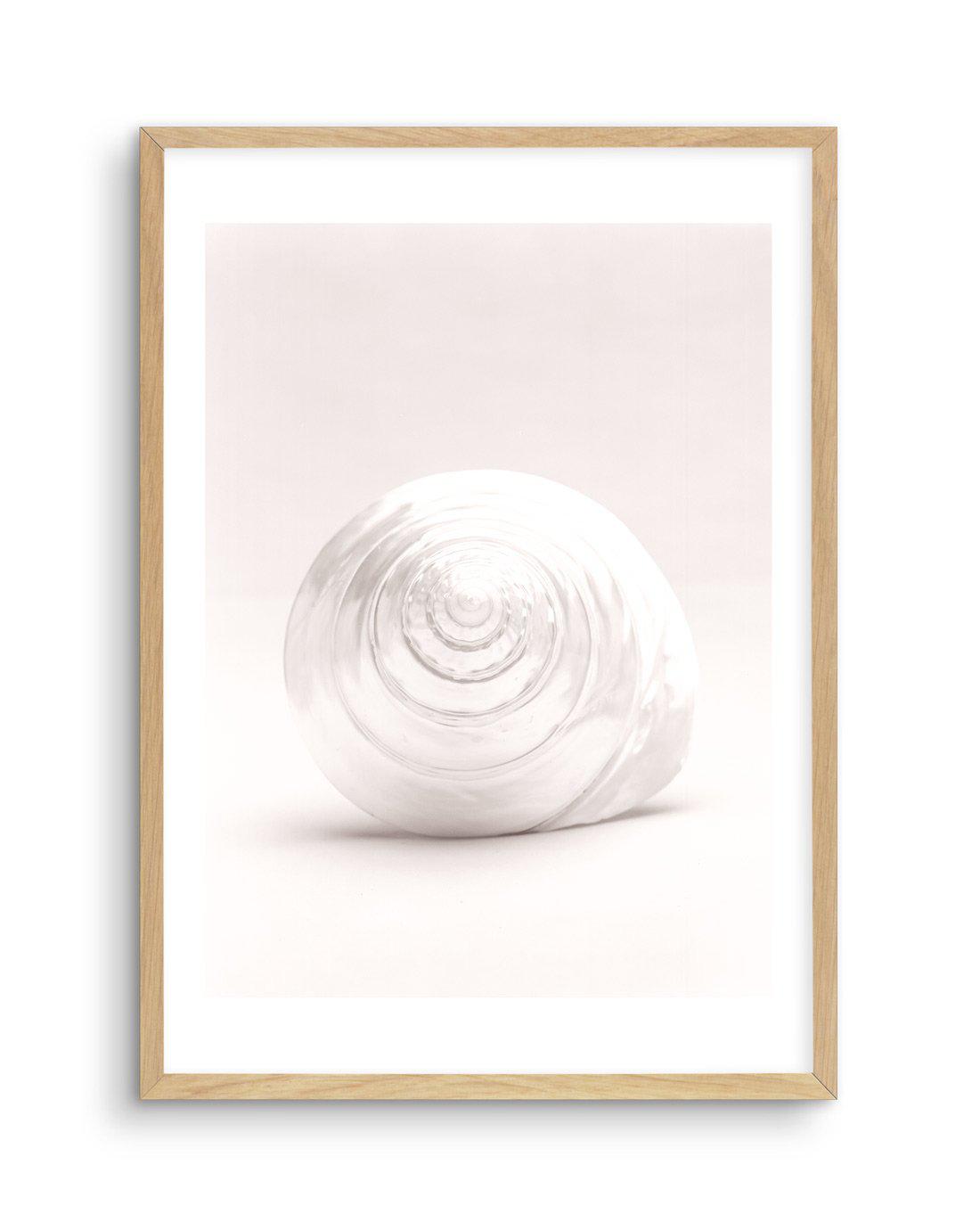 Shell I Art Print-PRINT-Olive et Oriel-Olive et Oriel-A5 | 5.8" x 8.3" | 14.8 x 21cm-Oak-With White Border-Buy-Australian-Art-Prints-Online-with-Olive-et-Oriel-Your-Artwork-Specialists-Austrailia-Decorate-With-Coastal-Photo-Wall-Art-Prints-From-Our-Beach-House-Artwork-Collection-Fine-Poster-and-Framed-Artwork