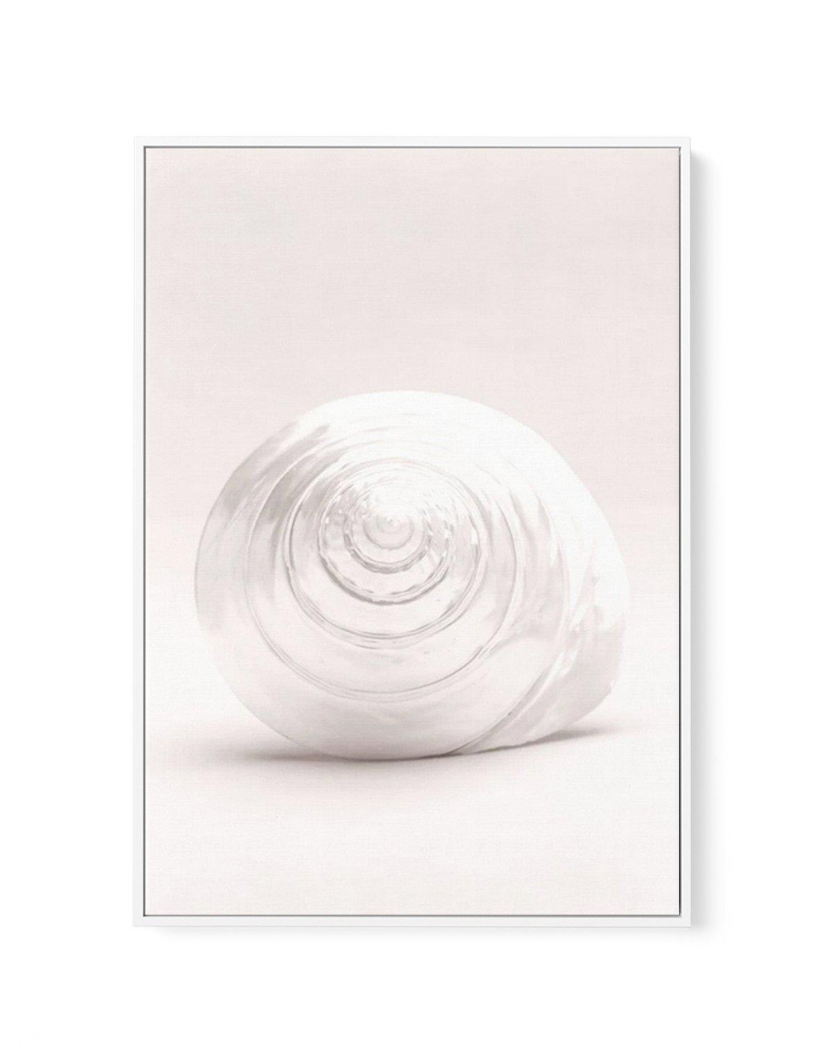 Shell I | Framed Canvas-CANVAS-You can shop wall art online with Olive et Oriel for everything from abstract art to fun kids wall art. Our beautiful modern art prints and canvas art are available from large canvas prints to wall art paintings and our proudly Australian artwork collection offers only the highest quality framed large wall art and canvas art Australia - You can buy fashion photography prints or Hampton print posters and paintings on canvas from Olive et Oriel and have them delivere