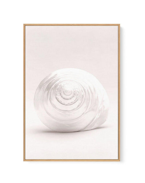 Shell I | Framed Canvas-CANVAS-You can shop wall art online with Olive et Oriel for everything from abstract art to fun kids wall art. Our beautiful modern art prints and canvas art are available from large canvas prints to wall art paintings and our proudly Australian artwork collection offers only the highest quality framed large wall art and canvas art Australia - You can buy fashion photography prints or Hampton print posters and paintings on canvas from Olive et Oriel and have them delivere