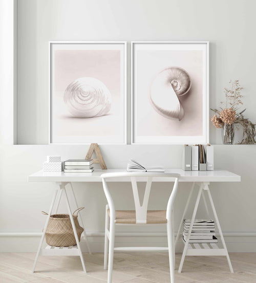 Shell II Art Print-PRINT-Olive et Oriel-Olive et Oriel-Buy-Australian-Art-Prints-Online-with-Olive-et-Oriel-Your-Artwork-Specialists-Austrailia-Decorate-With-Coastal-Photo-Wall-Art-Prints-From-Our-Beach-House-Artwork-Collection-Fine-Poster-and-Framed-Artwork